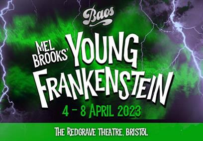 Young Frankenstein poster
