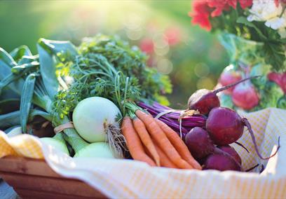 Vegan Variety Cooking Class