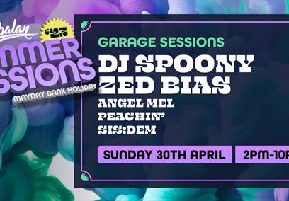 DJ Spoony and Zed Bias
