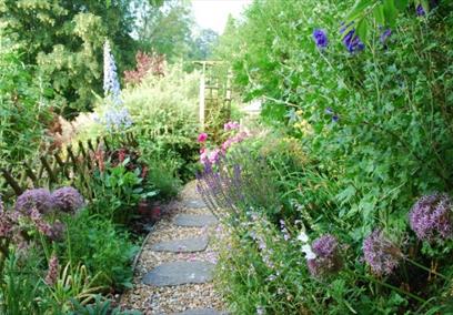 Green garden full of plants