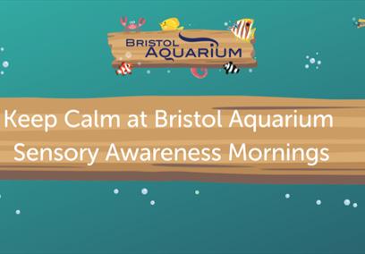 Keep Calm at Bristol Aquarium: Sensory Awareness Mornings poster