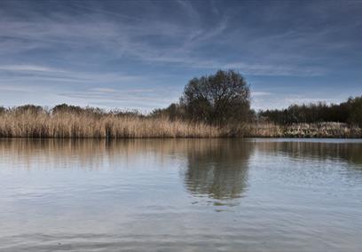 Winter Birdwatching at Swindon Lagoons