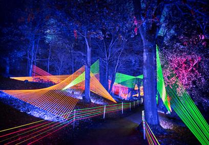 strings of coloured lights between trees