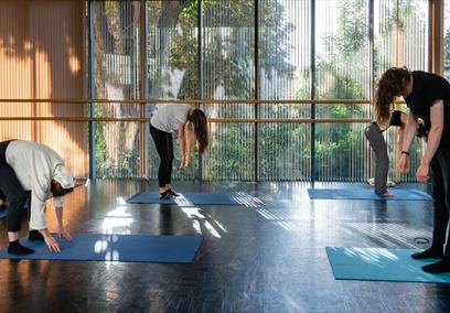 People doing yoga in a conservatory 
