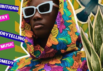 Black Brilliance poster
