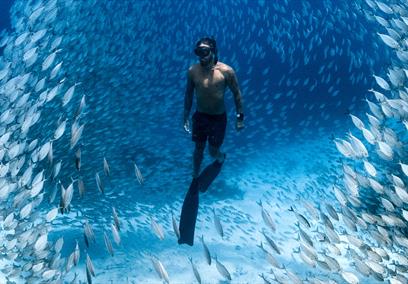 Ocean Film Festival