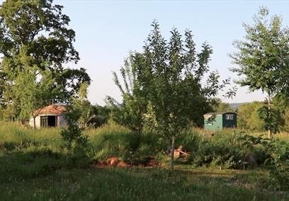 Garden allotment at Grow Wilder