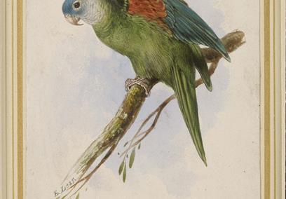 Edward Lear: Travel and Nonsense