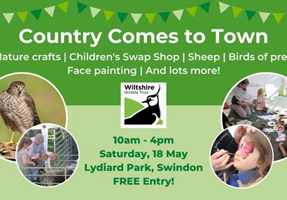 Country Comes to Town