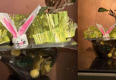 Baby Bunny Burrows