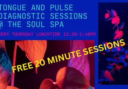 Tongue and Pulse Diagnostic Sessions