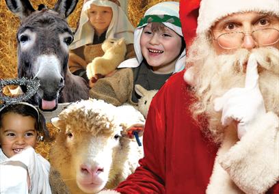 Christmas at Roves Farm