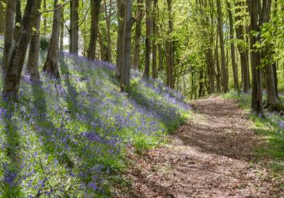 Walks & Talks Guided Tours