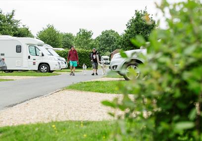 Walking dogs at Devizes Camping and Caravanning Club Site