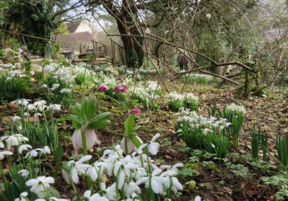 Westcroft Gardens near Salisbury