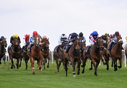 A group of horses and their jockeys racing on a racecourse