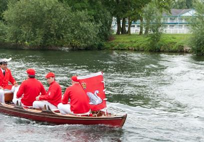 The King's Swan Marker and the accompanying Swan Uppers on the River Thames at Windsor