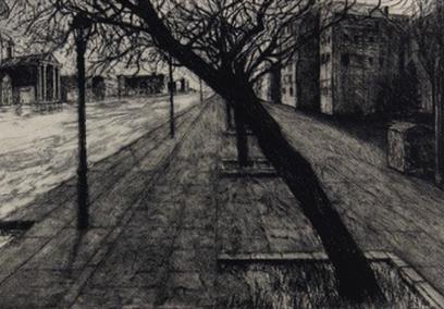 A black and grey charcol drawing on a tree