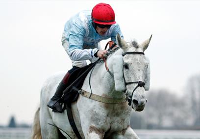 Ascot Racecourse November Racing Weekend