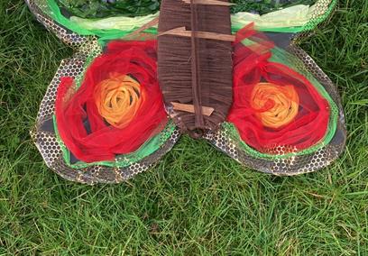 Butterfly Wings