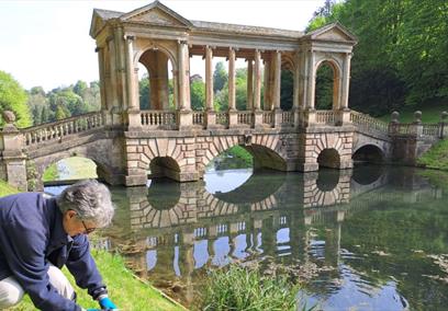 A member of the crayfish team at Prior Park attaching a string from a crayfish pot to a post by the Palladian Bridge.