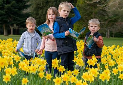 Children playing in daffodils to advertise Bowood's Spring Adventure