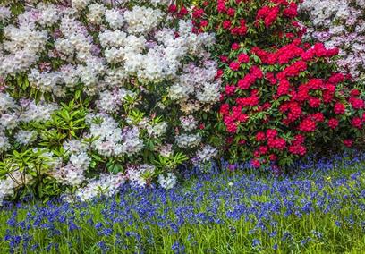 Woodland Garden Guided Tours