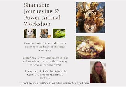 Shamanic Journeying & Power Animal Workshop
