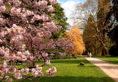 Westonbirt, The National Arboretum