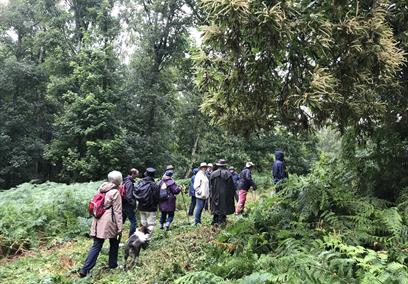 History Walk through the Bedwyn Brails
