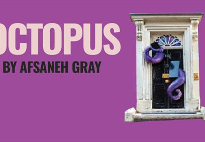 Octopus by Afsaneh Gray at The Wardrobe Theatre poster