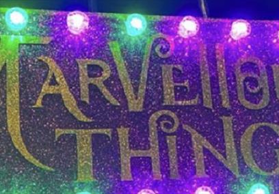 The Museum of Marvellous Things