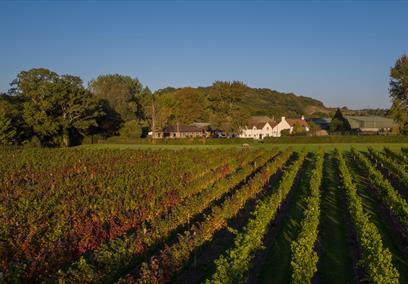 Aldwick Court farm and vineyard