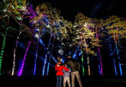 Enchanted Christmas at Westonbirt Arboretum
