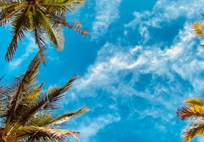 Tropical Treat for the over 60's