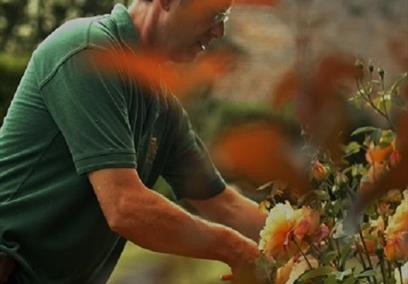 Head Gardener Tours