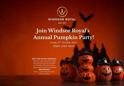 Windsor Pumpkin Party
