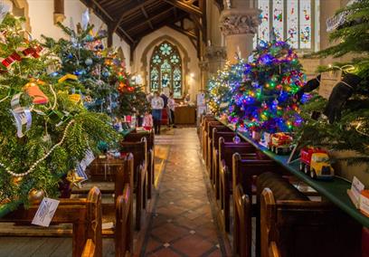 Christmas Tree Festival