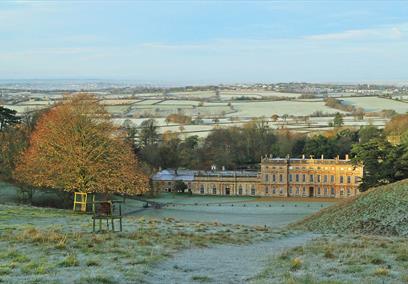 Dyrham Park winter