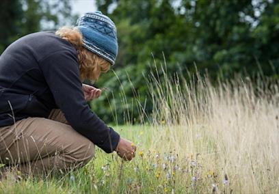 Biological Recording at Grow Wilder