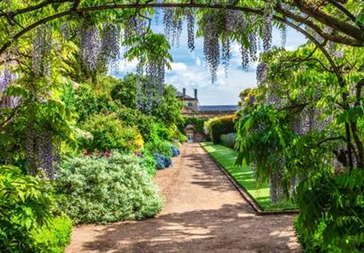 Private Walled Garden Tour - Anna Stowe