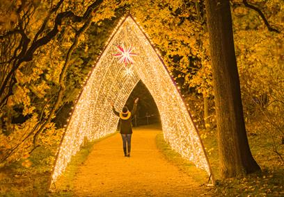 Windsor Great Park Illuminated
