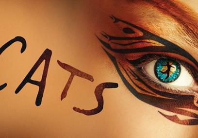 Cats the musical
