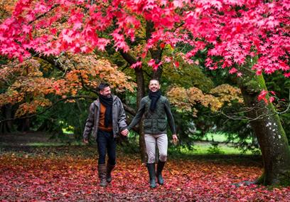 Westonbirt, The National Arboretum