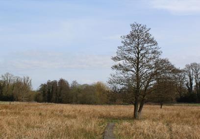 Jones's Mill Nature Reserve