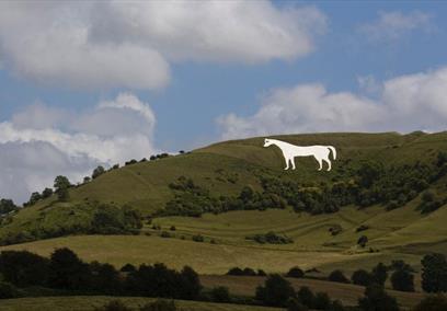 Westbury White Horse Summer Wiltshire