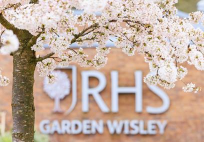 RHS Garden Wisley