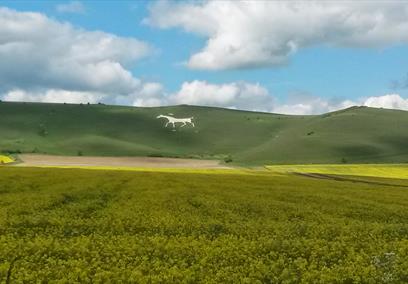 Alton Barnes White Horse, near Pewsey