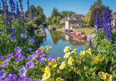 flowers surrounding the canal