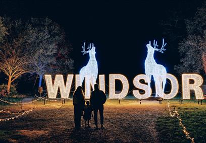 Windsor Great Park Illuminated image Joshua Atkins